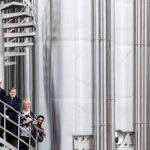 MiAlgae launches omega-3 product for fish feed and pet food