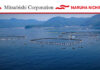 Mitsubishi, Maruha Nichiro to establish new joint venture for land-based salmon