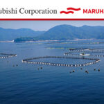 Mitsubishi, Maruha Nichiro to establish new joint venture for land-based salmon