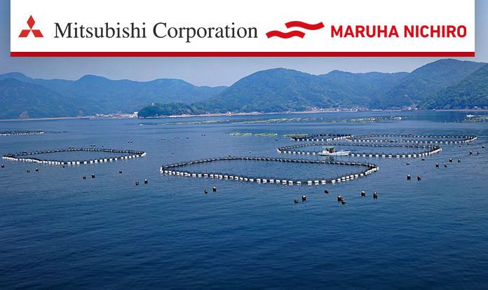 Mitsubishi, Maruha Nichiro to establish new joint venture for land-based salmon 