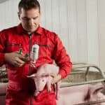 TwistPak®: Mixing platform for swine vaccines brings convenience and flexibility