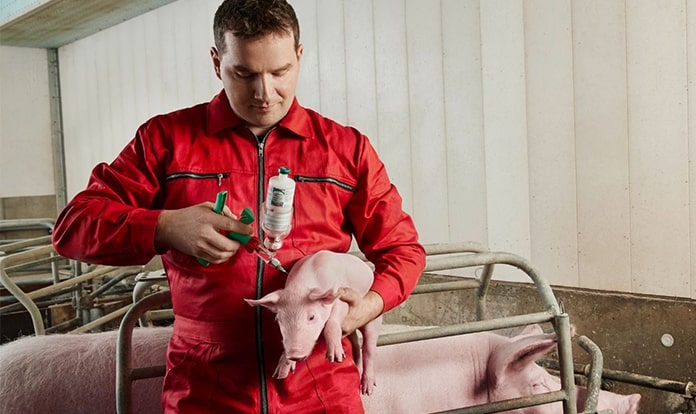 TwistPak®: Mixing platform for swine vaccines brings convenience and flexibility