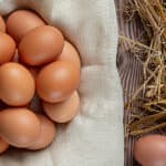 More eggs per hen with natural oregano essential oil