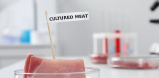 Mosa Meat and Nutreco work together to reduce cost of cell feed