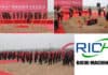 Multifunctional animal feed plant project from RICHI