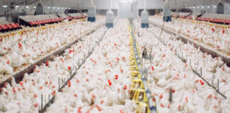 Multiple modes-of-action may help When AGPs are removed