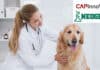 NEOGEN acquires CAPInnoVet, Inc.