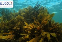 NUQO and Austrian university team up for innovation and research