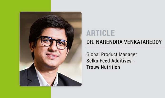 Heat stress management: The importance of beef cattle nutrition