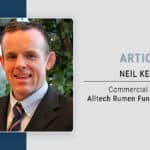 How do we verify sustainable animal feed in ruminant production?