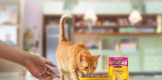 Nestlé Purina expands wet pet food capacity with new Brazil factory