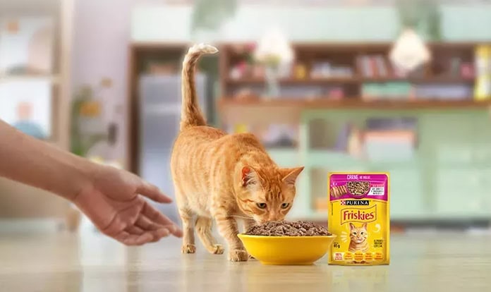 Nestlé Purina expands wet pet food capacity with new Brazil factory