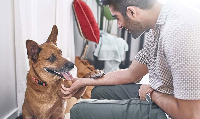 Nestlé Purina invests CHF 200 million to expand Mexican pet food plant