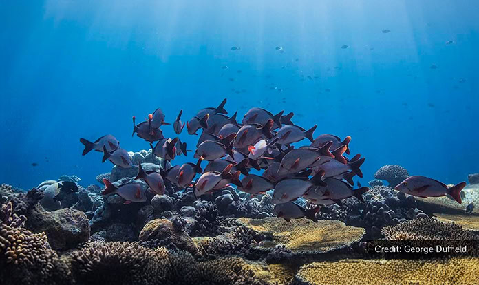 Nestlé invests in O14C to support blue economy and Purina’s sustainability goals