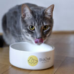 New Analysis: BioCraft ingredient emits 12x less CO₂ than beef byproducts