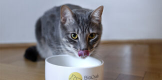 New Analysis: BioCraft ingredient emits 12x less CO₂ than beef byproducts