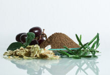 New Anta®Sync feed additive focuses on resilience and energy efficiency