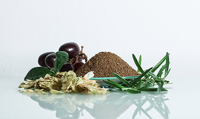 New Anta®Sync feed additive focuses on resilience and energy efficiency