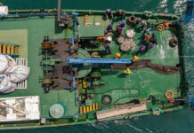 New Report: Mediterranean–Black Sea overfishing drops to decade-low