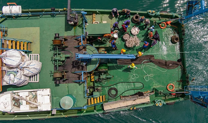 New Report: Mediterranean–Black Sea overfishing drops to decade-low