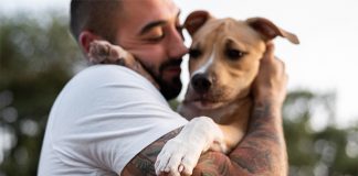 New Study: Pro- and postbiotic supplementation affects canine gut health