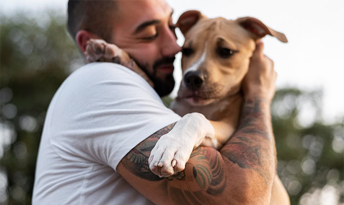 New Study: Pro- and postbiotic supplementation affects canine gut health