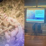 New Study: Right microbial solutions can boost shrimp performance