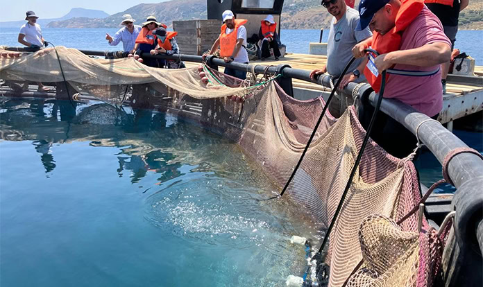 New aquaculture centre supports sustainable fish farming in Mediterranean