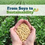 New conference to explore food industry’s soya dependency