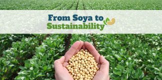 New conference to explore food industry’s soya dependency