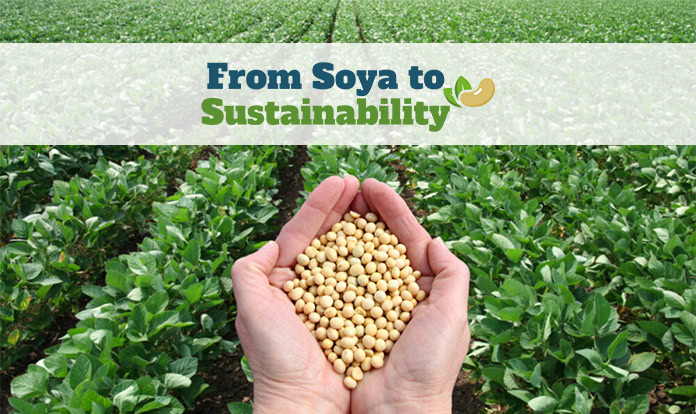 New conference to explore food industry’s soya dependency