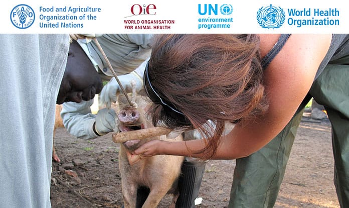 New international expert panel for zoonotic diseases