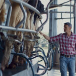 New program aims to reduce dairy farm emissions