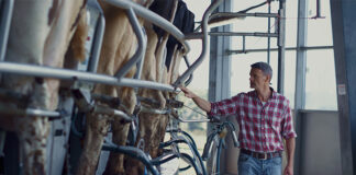 New program aims to reduce dairy farm emissions