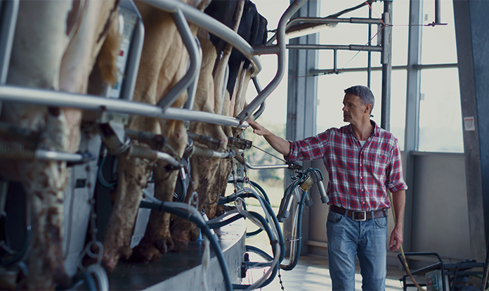 New program aims to reduce dairy farm emissions