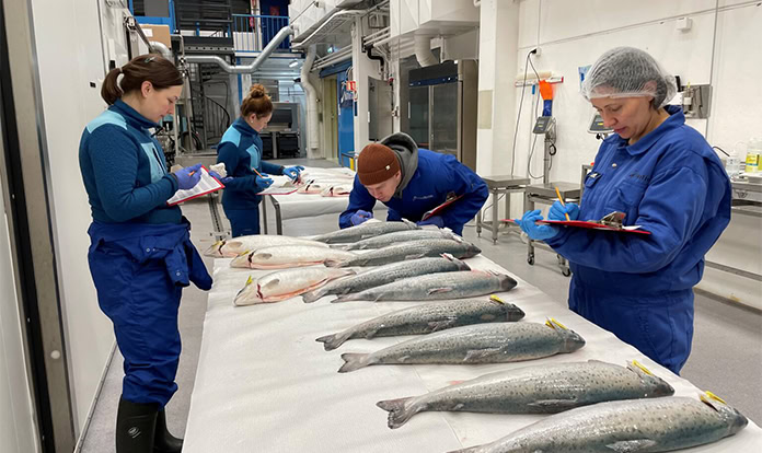 New project converts industrial CO₂ into algae-based salmon feed