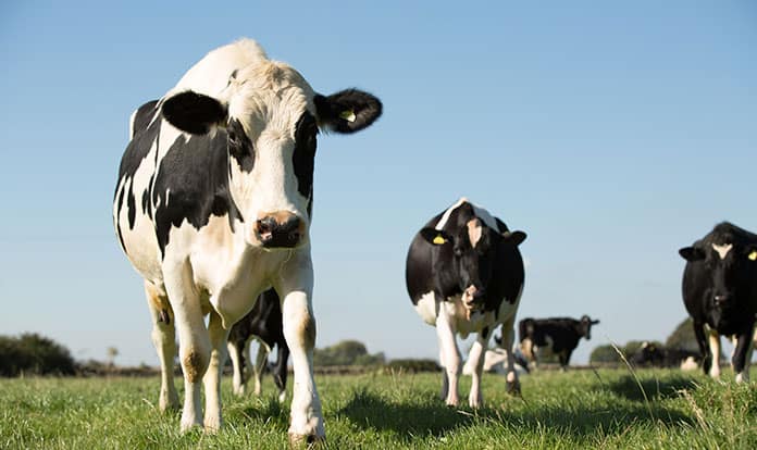 New research demonstrates methane reduction benefits for Optomega