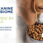 New research explores plasma’s impact on digestibility and gut health in dogs