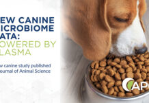 New research explores plasma’s impact on digestibility and gut health in dogs