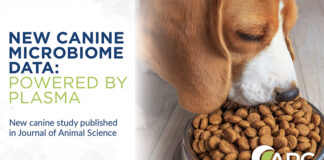New research explores plasma’s impact on digestibility and gut health in dogs