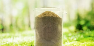 New study: Diet based on BSF improves oral health and reduces bad breath in dogs