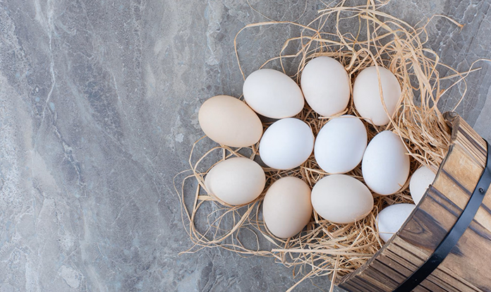 New study: Orego-Stim helps egg producers achieve more for less