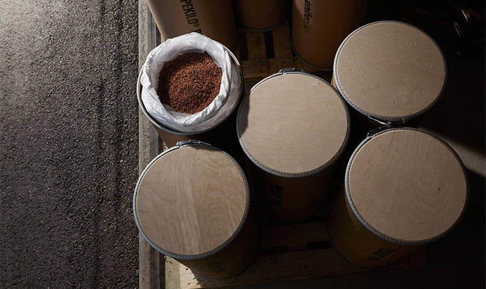 New study: Shrimp fed with fungi protein grow faster and healthier