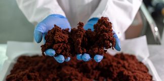 New study demonstrates effect of Asparagopsis seaweed in methane reduction