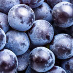 New study highlights standardized dry grape extract for avian bone health