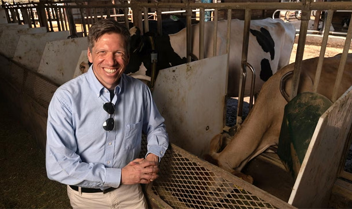 New study may clarify how seaweed cuts cow methane