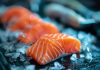 New study points to return on investment in salmon feed