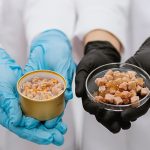 New study presents environmental benefits of cultivated meat