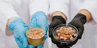 New study presents environmental benefits of cultivated meat