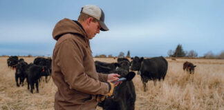 Nofence raises $35M to expand virtual fencing in livestock farming